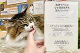「漢字一文字でも出てくれば「猫本」。専門店が選ぶ、猫好きに読んでほしい「お金の本」」の画像6
