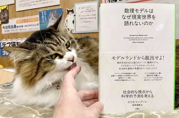 「漢字一文字でも出てくれば「猫本」。専門店が選ぶ、猫好きに読んでほしい「お金の本」」の画像