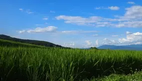 ゲームバランスが崩壊 ゲームに登場した強すぎる武器8選 16年8月17日 エキサイトニュース 2 3