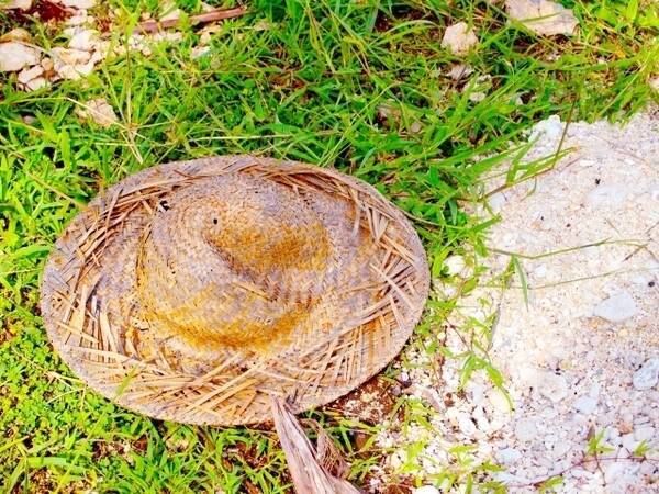 漫画 One Piece の麦わら一味のキャラクターデザイン 初期と二年後どっちが好き 大学生の多数派は 16年11月18日 エキサイトニュース