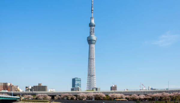 新旧対決 東京タワーorスカイツリー 大学生カップルに人気なデートスポットはどっち 16年11月日 エキサイトニュース