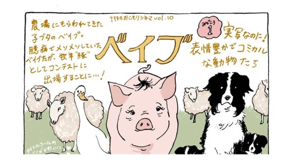 動物たちの名演技にほっこり 映画 ベイブ のみどころ チヤキのおこもりシネマ Vol 10 19年3月30日 エキサイトニュース