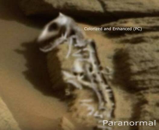 恐竜の先祖か 火星で コモドドラゴン似の化石 発見される 17年6月29日 エキサイトニュース
