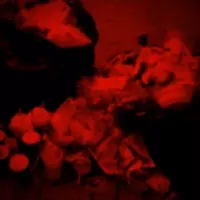 不衛生 店員がオタクをバカに アニメコラボカフェ炎上の背景とは 19年11月15日 エキサイトニュース