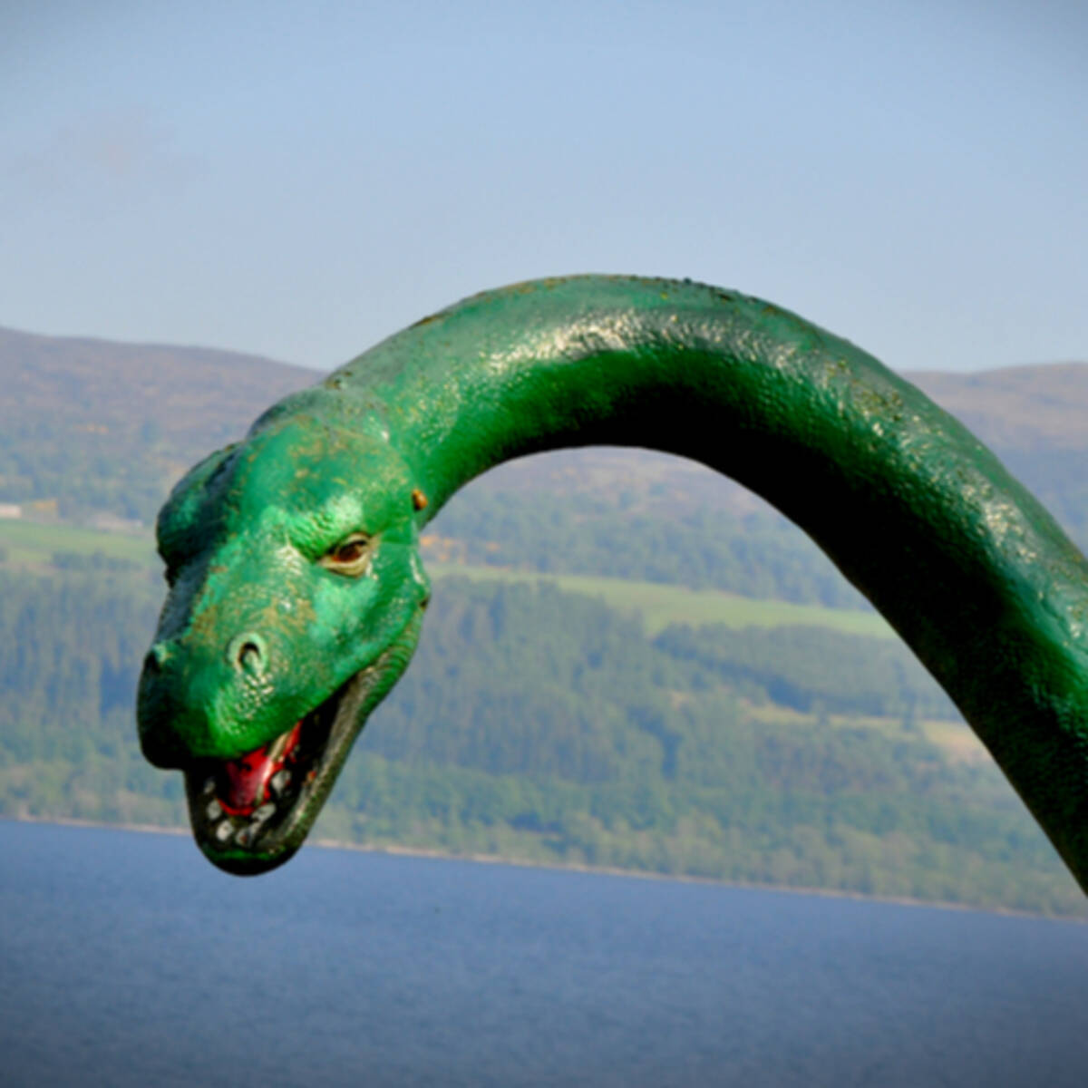 ネッシーはいなかった 最終結論の2週間後に現れた首長竜に仰天 19年9月29日 エキサイトニュース