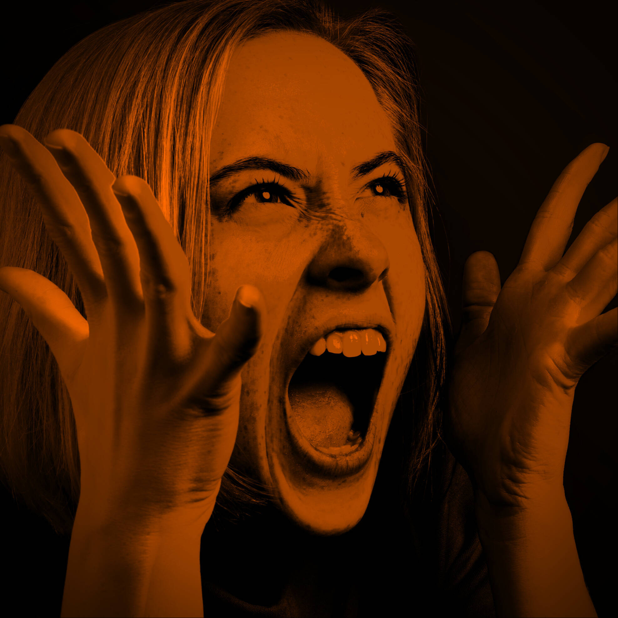 志村どうぶつ園 虐待疑惑の家族を 強行オンエア で批判続出 年1月18日 エキサイトニュース