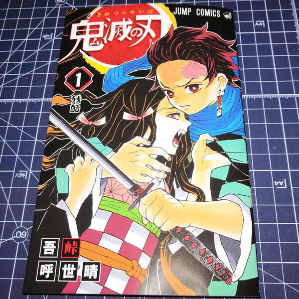 鬼滅の刃 ファンブックで 伏線 回収 アニメで描かれなかったシーンに重要な意味が 21年2月5日 エキサイトニュース