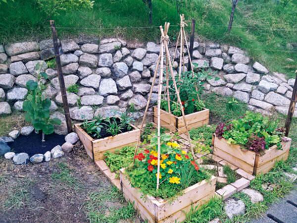 花も野菜もハーブも果樹も ひと坪で作る理想のガーデン 14年4月9日 エキサイトニュース