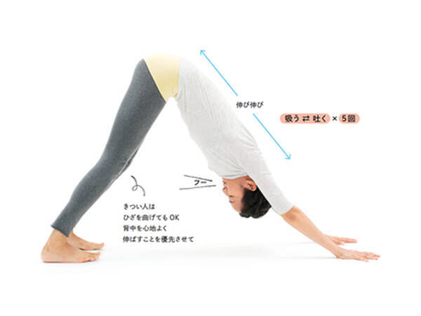 朝 心身をすっきり目覚めさせるヨガのポーズ 15年10月7日 エキサイトニュース 朝 心身をすっきり目覚めさせるヨガのポーズ 15年10月7日 エキサイトニュース