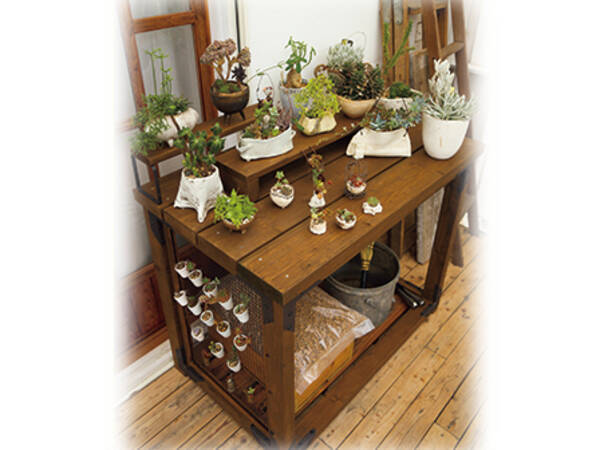 簡単diy ベランダで多肉を飾る専用棚をつくってみよう 19年9月5日 エキサイトニュース