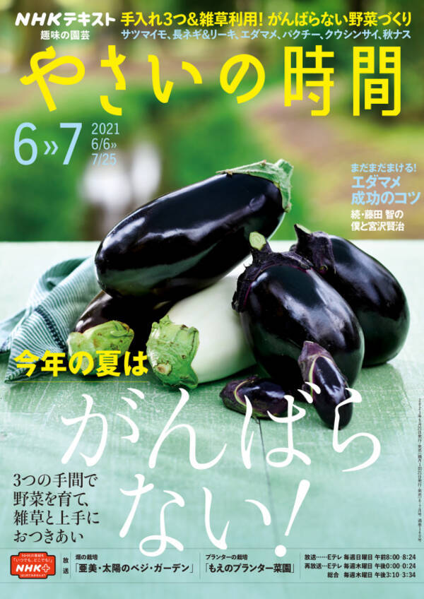 ナメクジを効果的に退治するには 21年6月16日 エキサイトニュース