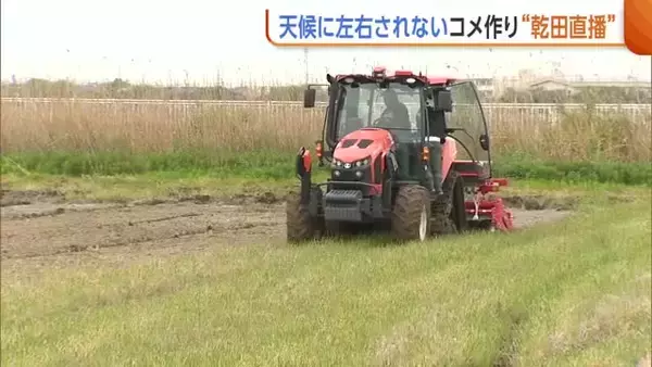 猛暑に左右されないコメ作りへ　田んぼに水を張らない“乾田直播”2年目の挑戦「技術で農地守りたい」新潟