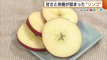 “スターカット”で手軽に！甘さと栄養詰まった“リンゴ” 3月にかけ様々な品種登場「推しリンゴ見つけて」