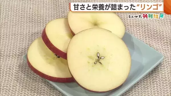 “スターカット”で手軽に！甘さと栄養詰まった“リンゴ” 3月にかけ様々な品種登場「推しリンゴ見つけて」