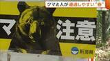 「冬眠明け活発に “クマ”と人が遭遇しやすい春「クマも人間も山菜を…」 “音が出る物”携帯や“複数人での活動”重要に」の画像1