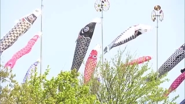 屋根より高く！こどもの日を前に園児が“鯉のぼり”掲揚 優雅に空を舞う鯉のぼりに「かっこいい！」新潟