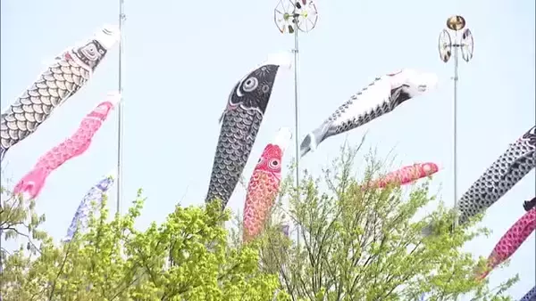 屋根より高く！こどもの日を前に園児が“鯉のぼり”掲揚 優雅に空を舞う鯉のぼりに「かっこいい！」新潟