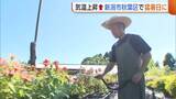 「梅雨明け早々“猛暑日”に…新潟市秋葉区で36℃観測　植物守るため生花店も暑さ対策「水やりは念入りに」」の画像1