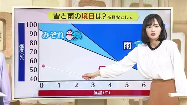 新潟県内の10日の天気は？朝から雪や雨が降り朝は本降りとなる予想　傘は必須！出かける際は暖かい格好で