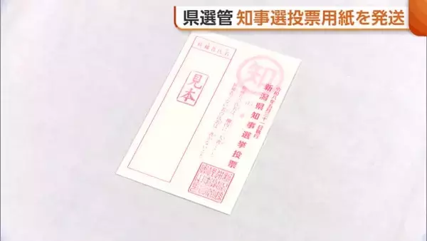 「共感してもらえる」中井亜美選手を知事選の"イメージキャラクター"に起用　投票率アップなるか？各市町村へ投票用紙を配送
