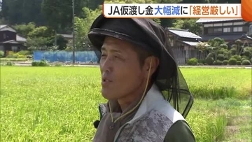 【コメ】“仮渡し金”4割減に「あまりにも安すぎる」　生産者から“廃業”危惧する声も「経営成り立たなくなる」新潟