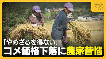 【コメ農家】「今年は完全に赤字」コメの価格下落に危機感…魚沼産コシヒカリの産地から悲痛な声