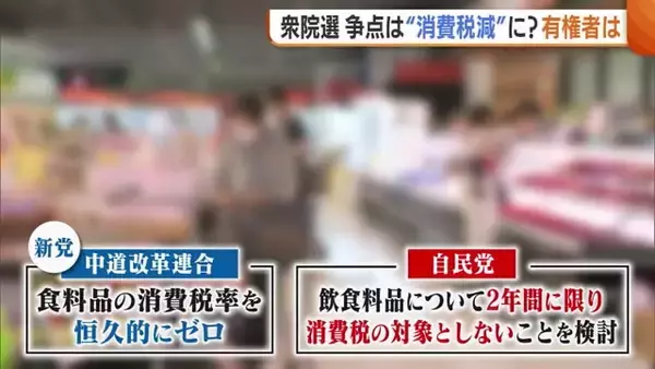 衆院選争点は“消費税減税”！？各党の訴えに有権者は「首相に今後も期待」「財源は？後の世代が心配」