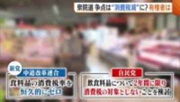 衆院選争点は“消費税減税”！？各党の訴えに有権者は「首相に今後も期待」「財源は？後の世代が心配」
