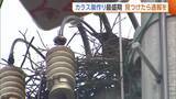 「“カラスの巣”が停電の原因に！？毎年6000個ほど撤去…見つけたら通報を「カラスも必死だと思うが戦っていかなければ」」の画像1