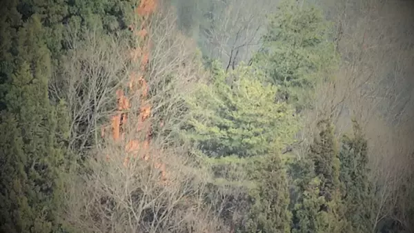 屋外での火の使用控えて！新潟県内１７市町村で“林野火災注意報” 空気の乾燥した状態続く