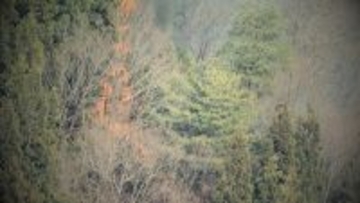 屋外での火の使用控えて！新潟県内１７市町村で“林野火災注意報” 空気の乾燥した状態続く