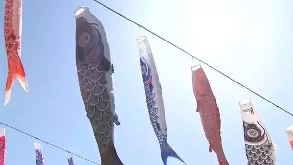 新潟・加茂市で約500匹の"こいのぼり"　春の風物詩楽しむ家族連れも　最高気温は県内9地点で夏日観測　