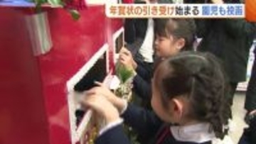 “年賀状”の引き受けスタート！園児たちもさっそくポストへ「早く届くといいな」 郵便局は早めの投函呼びかけ 新潟