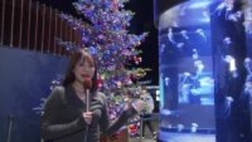 水族館にクリスマスツリー　2000個のLED　クラゲと競演【新潟市中央区】