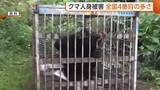 「新潟県の“クマ人身被害” 昨年度17人で全国4番目の多さに…カメラ設置やガバメントハンター雇用など対策強化へ」の画像1