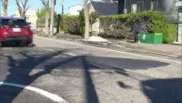 新潟市道路陥没で新たにけが人判明  トラック運転手の50代男性が腰を打撲  応急措置完了で交通規制解除