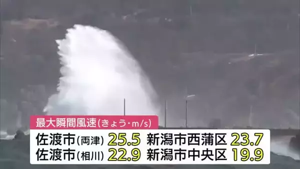 佐渡に暴風・波浪警報　県内は風が強まり、沿岸は大しけの恐れ【新潟】