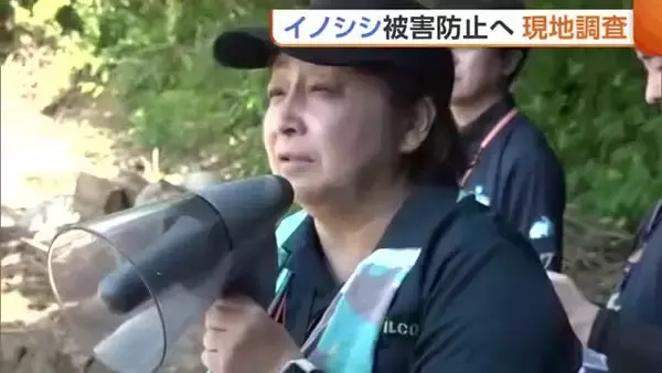 「コメ約300kg捨てた」田んぼ荒らす“イノシシ”　被害防止へ専門家が現地調査「電気柵で森と農地にラインを」新潟・長岡市