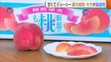 「糖度13度以上！？甘くてジューシー“モモ”の出荷最盛期！楽しみ方は様々「凍らせてアイスティーに」新潟・加茂市」の画像1