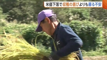 【コメ】「今年は完全に赤字」価格下落で農家苦悩…魚沼産コシの産地から悲痛な声「やめざるを得ない」新潟