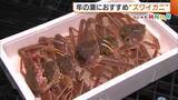 「鍋や刺身に重宝！年の瀬におすすめ“ズワイガニ” おいしいカニを見分けるポイントは寄生虫！？」の画像1