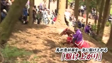 鈴をつけ装飾した馬が一気に駆け上がる！「シャングシャング馬」【新潟・胎内市】