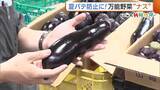 「万能野菜“ナス”！栄養満点で夏バテ防止にもおすすめ「紫外線から守ってくれる」　選ぶ際のポイントは“ハリ”と“トゲ”　新潟」の画像1
