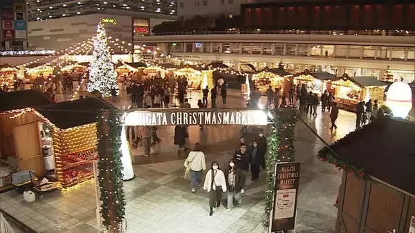 本場さながらの雰囲気を楽しむ“クリスマスマーケット” ドイツから輸入のヒュッテでチキンやスイーツなど販売 巨大なツリーも　新潟市