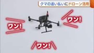 犬の鳴き声で“クマ”を追い払う！新潟・新発田市で“ドローン”活用した実証実験 広範囲での効果期待「技術で人手不足補っていく」