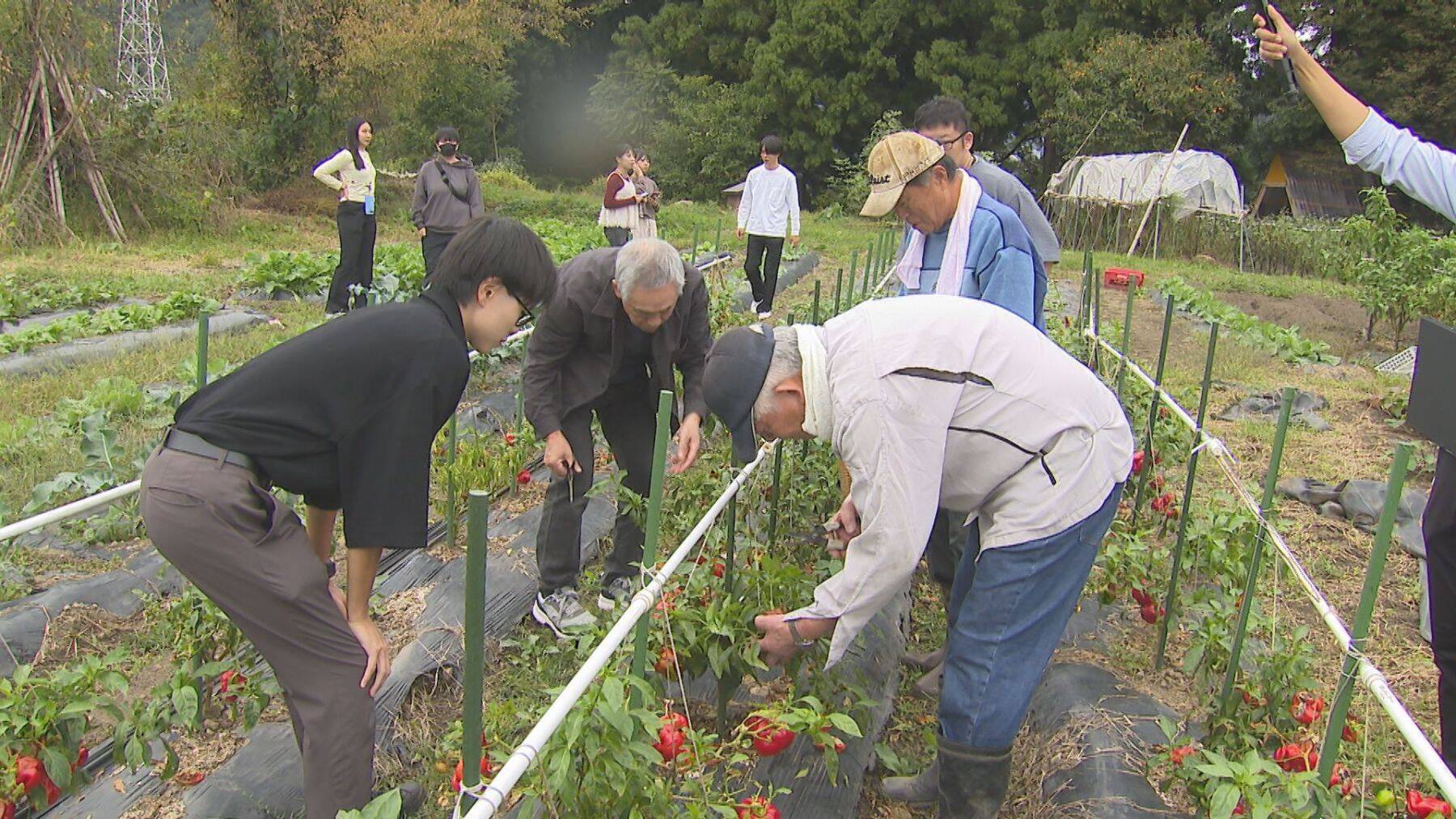 新潟にUターンした理由とは？農業×学び×地域おこしに挑戦する25歳に密着「若者が米農家をやりたいと思える未来を」