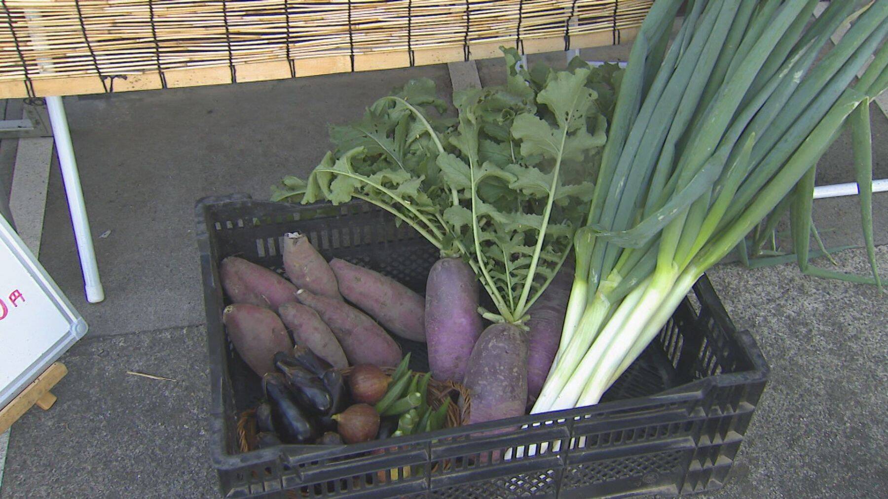 新潟にUターンした理由とは？農業×学び×地域おこしに挑戦する25歳に密着「若者が米農家をやりたいと思える未来を」