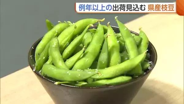 夏の味覚“枝豆”の出荷始まる！天候に恵まれ例年以上の出荷量に「お酒のお供に山盛り食べて」新潟・長岡市