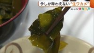 身が厚くシャキシャキ！今しか味わえない“生ワカメ” 海水温上昇も…例年通りの出来・価格も平年並みに 新潟