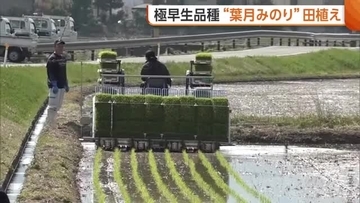 極早生品種“葉月みのり”の田植えスタート！去年猛暑で落ち込んだ一等米比率…今年は挽回を「日々の管理確実に」新潟
